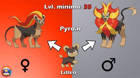 litten evolution level|que level o litleo evolui.